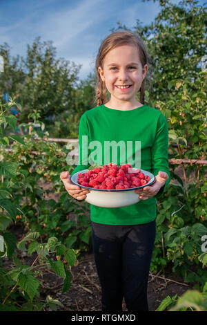 Nettes Mädchen mit einer Schüssel mit reifer Himbeeren im Garten. Bio Himbeer Anbau im Garten. Stockfoto