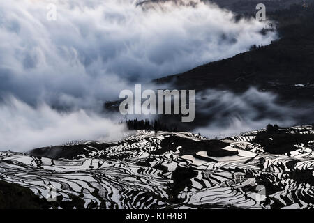 Meer der Wolken bei Sonnenaufgang in Duoyishu, Yuanyang Reisterrassen, Honghe, Provinz Yunnan, China Stockfoto