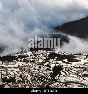 Meer der Wolken bei Sonnenaufgang in Duoyishu, Yuanyang Reisterrassen, Honghe, Provinz Yunnan, China Stockfoto