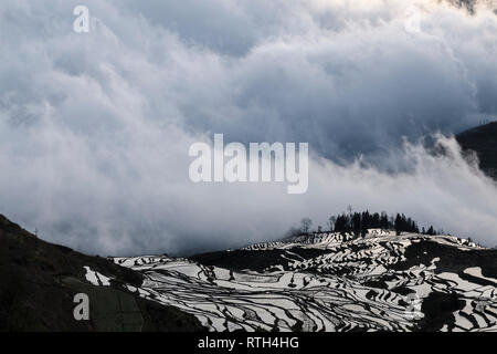 Meer der Wolken bei Sonnenaufgang in Duoyishu, Yuanyang Reisterrassen, Honghe, Provinz Yunnan, China Stockfoto