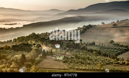 Schön neblig Toskana Hügel Landschaft in der Nähe von Florenz an einem sonnigen Morgen im August, Italien Stockfoto