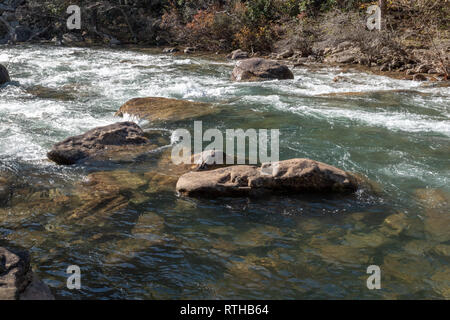 Outdoor Fotos von Creek und Spuren von soddy Daisy Tennessee Stockfoto