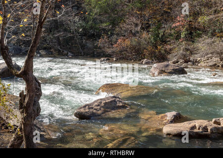 Outdoor Fotos von Creek und Spuren von soddy Daisy Tennessee Stockfoto