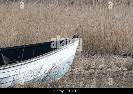 Vorderansicht eines alten, verlassenen Holz Fischerboot im Schilf Stockfoto