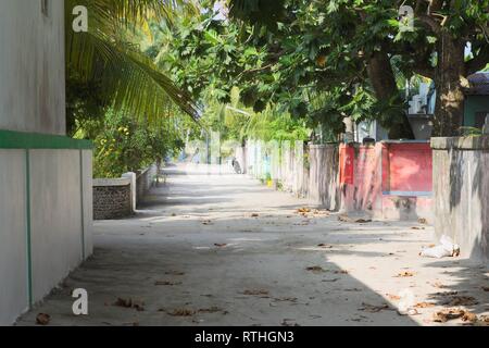 Maledivischer Straße mit farbigen Wänden und Palmen (Ari Atoll, Malediven) Stockfoto