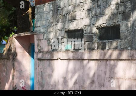 Ein paar der rechteckigen Fenstern in eine Mauer (Ari Atoll, Malediven) Stockfoto