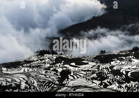 Meer der Wolken bei Sonnenaufgang in Duoyishu, Yuanyang Reisterrassen, Honghe, Provinz Yunnan, China Stockfoto