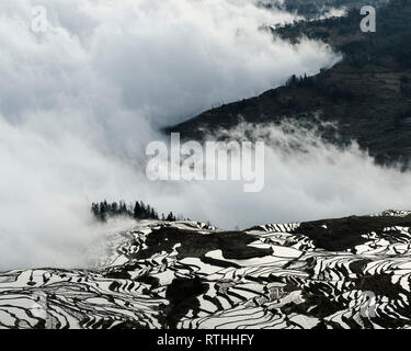 Meer der Wolken bei Sonnenaufgang in Duoyishu, Yuanyang Reisterrassen, Honghe, Provinz Yunnan, China Stockfoto