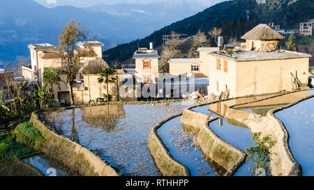 Reisfelder, Yuanyang Reisterrassen, Provinz Yunnan, China Stockfoto