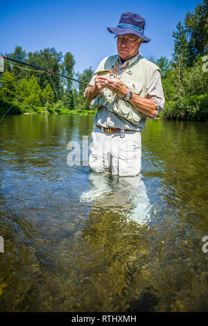 Ein 70 Jahre alter Mann Fliegenfischen in der Cedar River, Western Washington, USA. Stockfoto