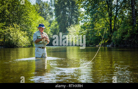 Ein 70 Jahre alter Mann Fliegenfischen in der Cedar River, Western Washington, USA. Stockfoto