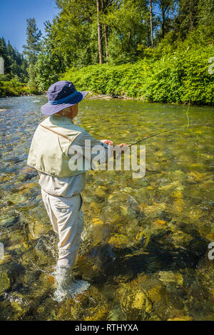 Ein 70 Jahre alter Mann Fliegenfischen in der Cedar River, Western Washington, USA. Stockfoto