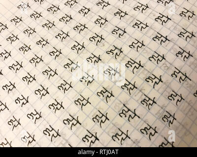 Lernen devanagari Sanskrit, Hindi Alphabet handschriftlich in Copybook Stockfoto