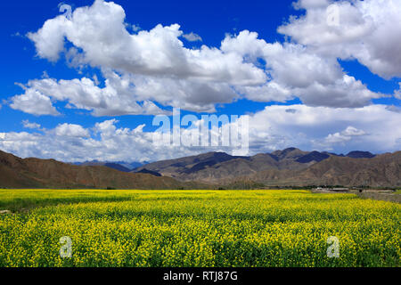 Landschaft bei Gyengong Lhakhang Tempel, Shigatse County, Tibet, China Stockfoto