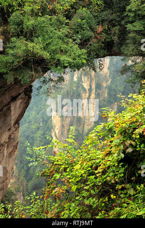 Zhangjiajie National Forest Park, Hunan, China Stockfoto