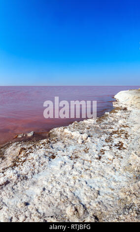 Rosa extrem salzig Syvash See, gefärbt durch Mikroalgen mit kristallinen Salz depositionen. Auch als die fauligen Meer oder faulen Meer bekannt. Ukraine, Stockfoto