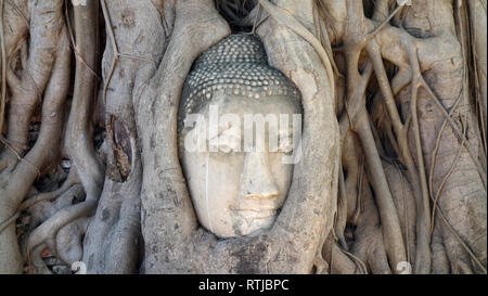 Ayutthaya Historical Park in Thailand Stockfoto