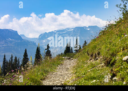 Spaziergang, Wiese und Bäume, im Hintergrund die Berge, Schweiz Stockfoto
