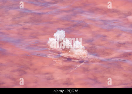 Salzkristalle in rosa Wasser am Strand der Rosa See neben Gregor in West Australien Stockfoto