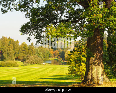 Blick auf den See in den Yorkshire Arboretum, North Yorkshire, England, aus einer alten Eiche im Spätsommer Stockfoto