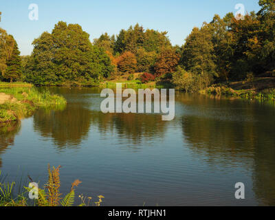 Blick über den See in den Yorkshire Arboretum zu Bäumen mit frühen Herbst Laub, North Yorkshire, England Stockfoto