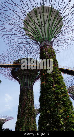 Singapur Stockfoto