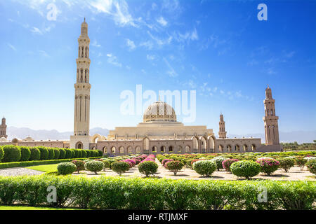 Die Gärten und der Großen Moschee Muscat (Oman) Stockfoto