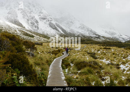 Curvy hängenden Gehweg schützt Berg Ökosystem von Hooker Valley Track Stockfoto