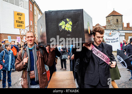 Canterbury, Großbritannien. 23. Februar 2019. Anhänger der Canterbury Aussterben Rebellion Gruppe bilden, im Zentrum der Stadt dann Teil in einem symbolischen Trauerzug, die den Tod von Pflanzen, Tieren, Menschen und der Planeten durch die Klimakrise, Verlust oder das Leben nehmen. Der Protest wird in einem Schwarm Aktion blockieren St. Peters Platz gipfelte. Die Polizei war anwesend, hat aber nicht gestört, es gab keine Verhaftungen. Credit: Stephen Bell/Alamy Live News Credit: Stephen Bell/Alamy leben Nachrichten Stockfoto