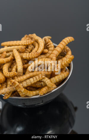 Essbare Mehlwürmer Tenebrio molitor gemessen in Löffel als Küchenzutat. Reich an Eiweiß essbare Wanzen, essbare Insekten Superfoods, Insekten als Nahrung Stockfoto