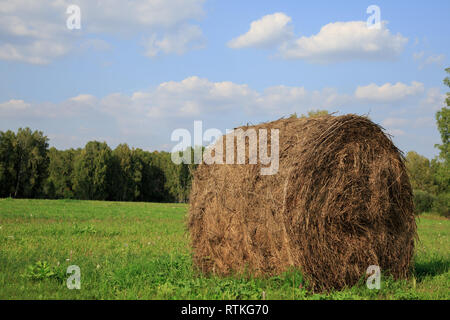 Große Bucht Heu Rollen in ein grünes Feld und blauer Himmel Stockfoto