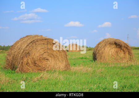 Große Bucht Heu Rollen in ein grünes Feld und blauer Himmel Stockfoto