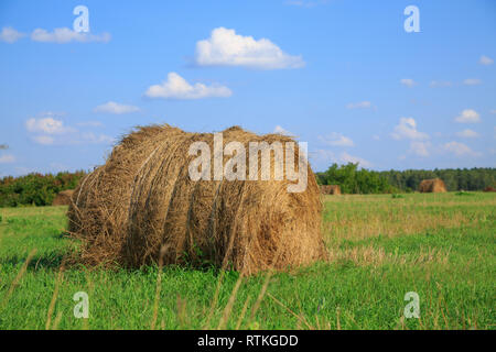 Ballen auf dem Feld unter schönen blauen bewölkten Himmel. Foto mit Platz für ihre Montage Stockfoto