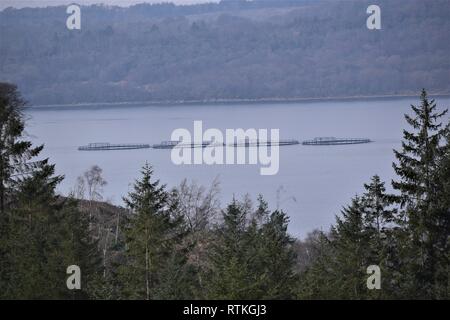 Vier potentialfreie Fischkäfige von HDPE-Rohre in im Transit nach unten Loch Creran Stockfoto