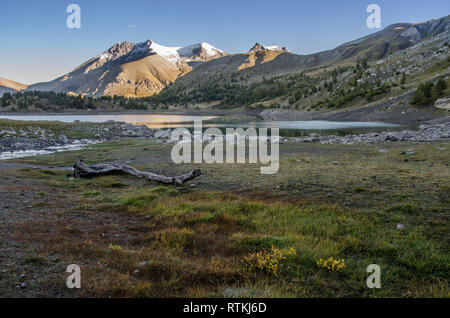 Die Natur in der Nähe von Allos See in den französischen Alpen Stockfoto