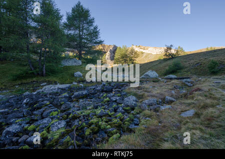 Die Natur in der Nähe von Allos See in den französischen Alpen Stockfoto