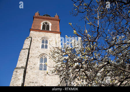St Giles-without-Cripplegate, Barbican, mit Spring Blossom. Stockfoto