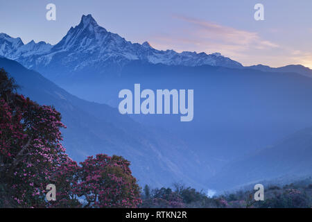 Machhapuchare in der Annapurna Region Nepal Stockfoto