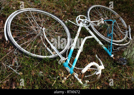 Abgebrochene gebrochen Bike in den Wald, Umweltverschmutzung Stockfoto