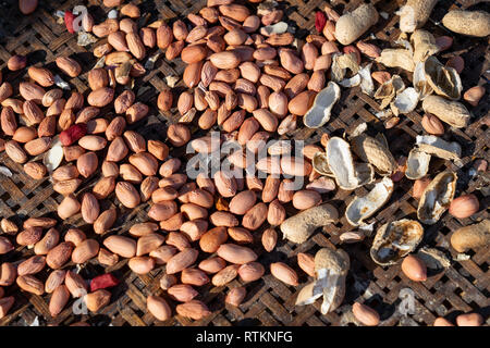 Rohe geschälte Erdnüsse auf alten Bambus Warenkorb Stockfoto