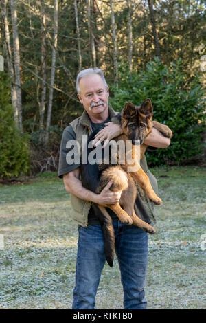 Issaquah, Washington, USA. Mann hält seine vier Monate alten deutschen Schäferhund Welpe "Lander". Stockfoto