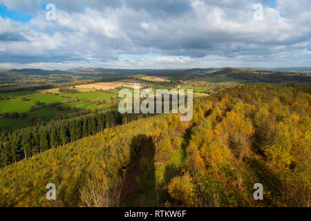 Der Schatten der Flundern' Torheit auf dem Shropshire Landschaft in der Nähe von Craven Arms, Shropshire, England, UK. Stockfoto