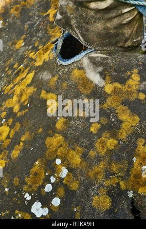 Abstrakte Algen Muster auf Leinwand an der Küste von Kent, England, Vereinigtes Königreich, Europa Stockfoto