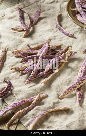 Organic lila Drachen Zunge Bohnen bereit zu Kochen Stockfoto