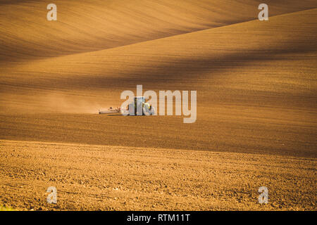 Traktor im Herbst arbeiten in den Bereichen Südmähren bei Sonnenuntergang Stockfoto