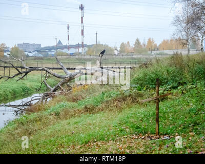 Kreuz Grab stalker in der Sperrzone. Kreuz Grab stalker in der Sperrzone. Stockfoto