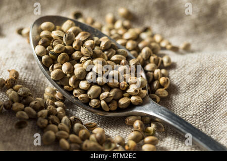 Organische geröstet Hanf Samen in eine Schüssel geben. Stockfoto