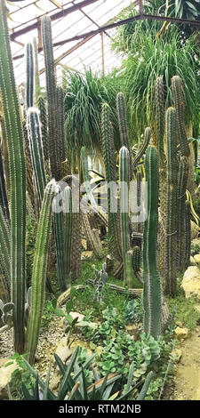 Flora botanischen Garten oder Flora und Botanischer Garten ...