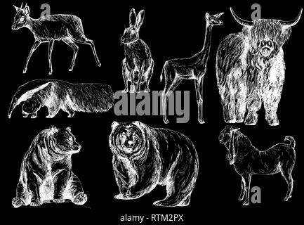 Satz von Hand gezeichnete Skizze Stil Tiere auf schwarzem Hintergrund isoliert. Vector Illustration. Stock Vektor