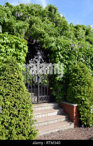 Eisernen Tor von Efeu bedeckt. Stockfoto